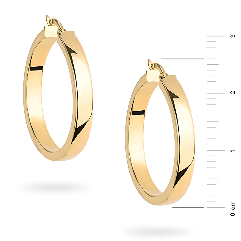 Gold Earrings with English Clasp Circles