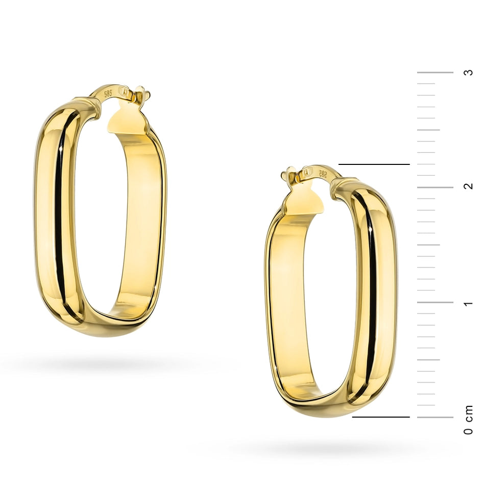 Gold Earrings with English Clasp